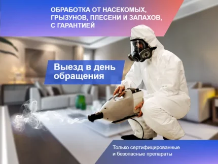 Фото для объявления Авито | Дезинфекция